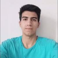 Professional portrait of backend developer Hamed Amiri